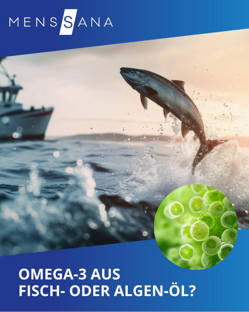 Wusstest du das? 

Die Omega-3 Fettsäuren EPA und DHA kommen ursprünglich aus Algen – nicht aus Fisc...