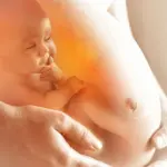 Folsäure bei Kinderwunsch und Schwangerschaft Beitragsbild | MensSana Themenwelt