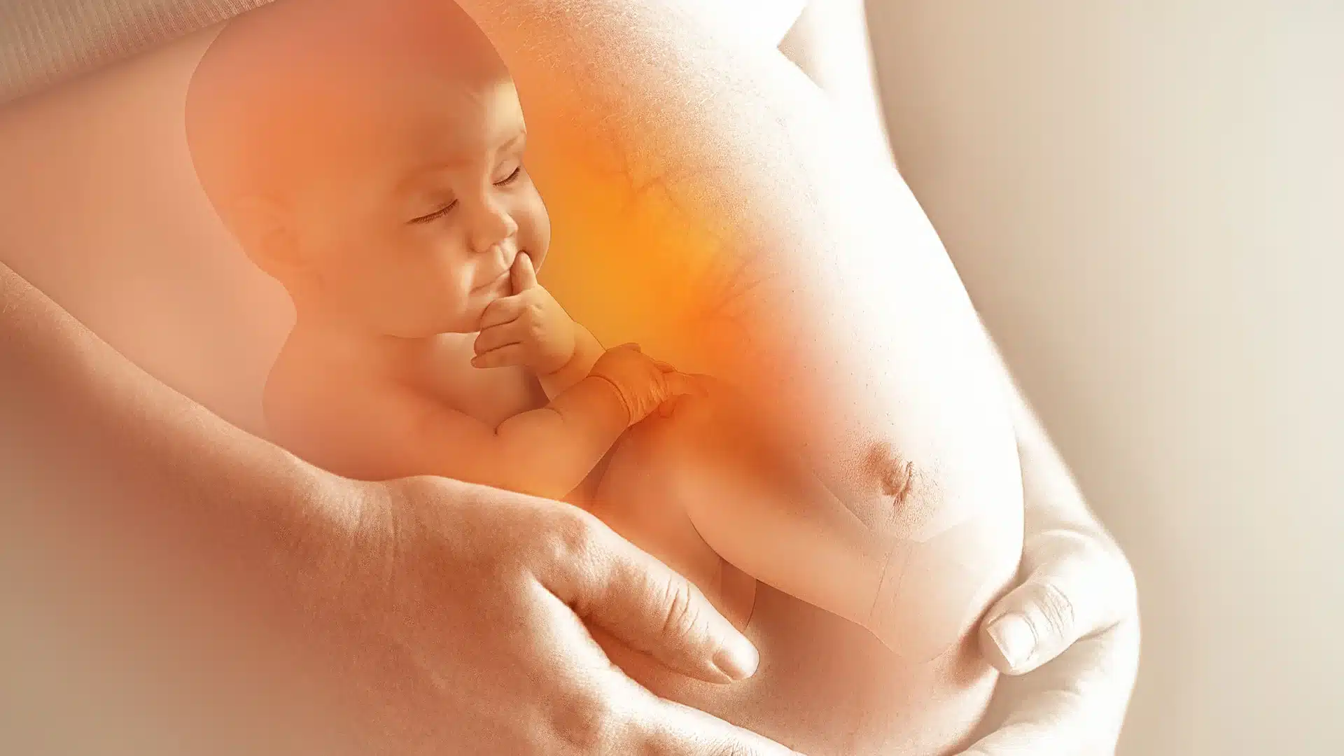 Folsäure bei Kinderwunsch und Schwangerschaft Beitragsbild | MensSana Themenwelt